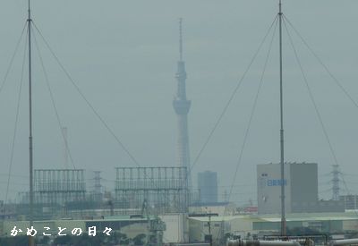 P1300593-4.jpg