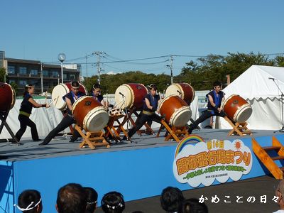 P1310903-8.jpg