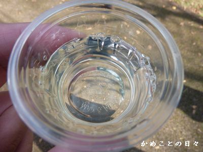 P1330857-sake.jpg