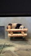 2011082312500002.jpg