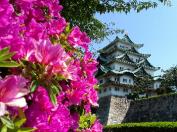 名古屋城