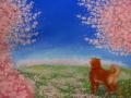 IMG_0074_20120402164155.jpg