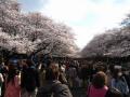 IMG_0945_20120406195032.jpg
