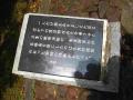 IMG_1017_20120418103243.jpg