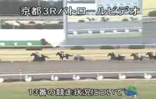 【川田将雅】追う動作を100m止めたため騎乗停止