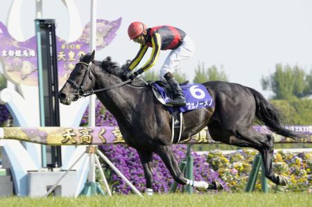 【競馬】先輩方、昔の春天はワクワクしましたよね?