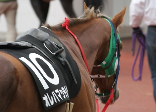 【格好いい】日本っぽい馬名を考えるスレ