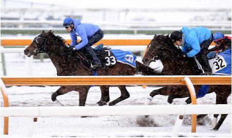 【きさらぎ賞】この馬でダービーに行きたい!無敗馬・トーセンスターダムに名手・武豊も手応え
