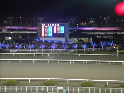 【競馬場】にいる若い女性ってCMに騙されたんだろうな
