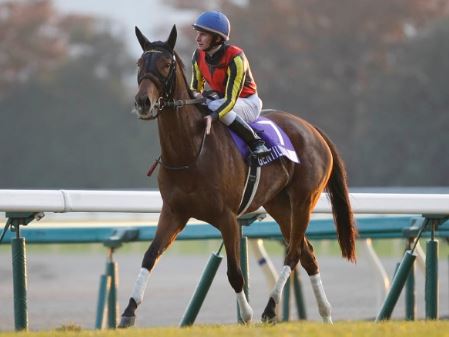 【名馬の条件】中山・阪神のG1で圧勝する馬が本物の名馬