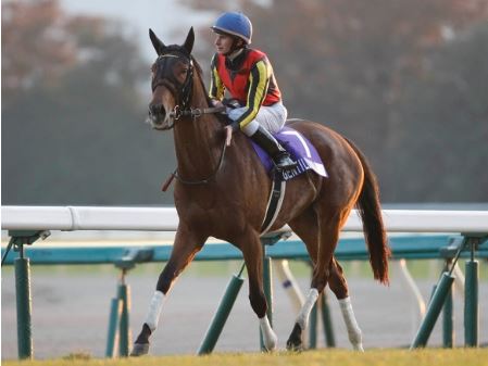 【ジェンティルドンナ】ちゃん今季G1勝てるやろか