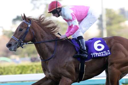 【競馬】2014年の牡馬クラシック路線すごすぎwww