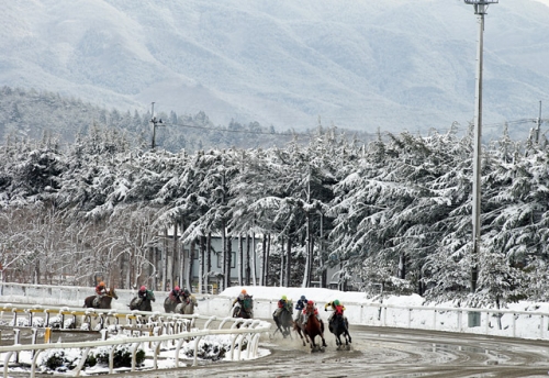 【競馬】実現して欲しかった対決
