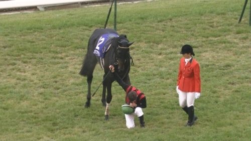 天皇陛下って馬主になれないの?