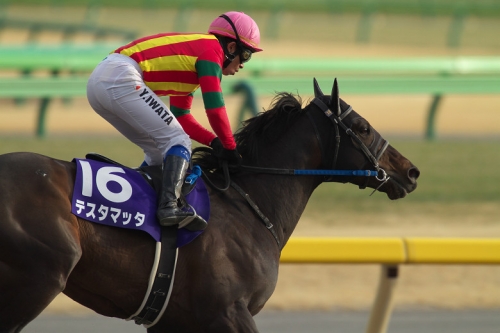 【競馬ネタ】ほらもう去年のフェブラリーSの勝ち馬忘れたろ?