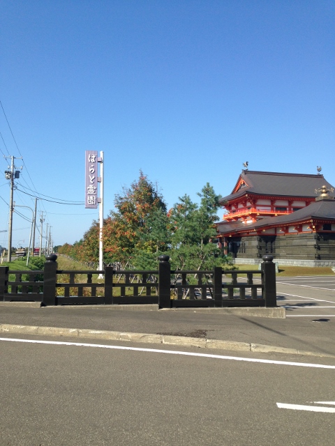 IMG_1128 (480x640)