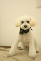 20131218エルちゃん2