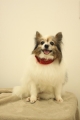 20131218ラーラーちゃん1