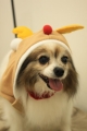 20131218ラーラーちゃん2