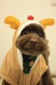 20131222Iプーちゃん2