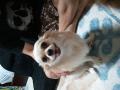 2011-08-02 19_37_33
