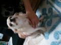 2011-08-02 19_37_27