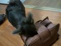 2011-08-02 19_37_00