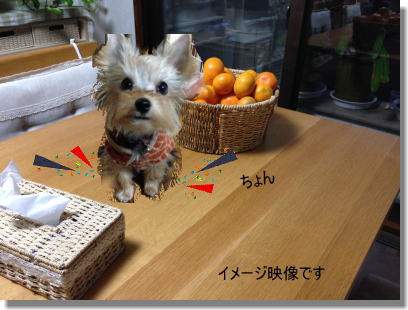 20131210001.jpg