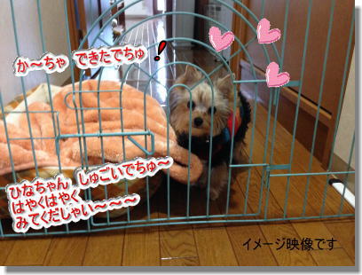 20131210002.jpg