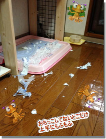 20131210004.jpg