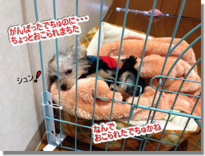 20131210005.jpg