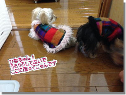 20131210006.jpg