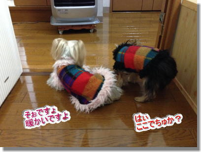 20131210007.jpg