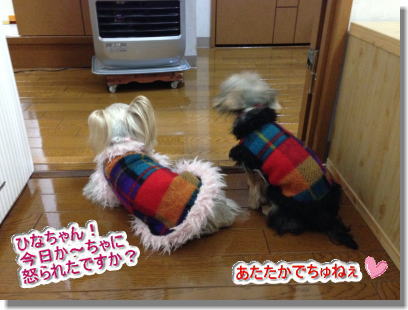 20131210008.jpg
