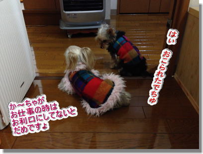 20131210009.jpg