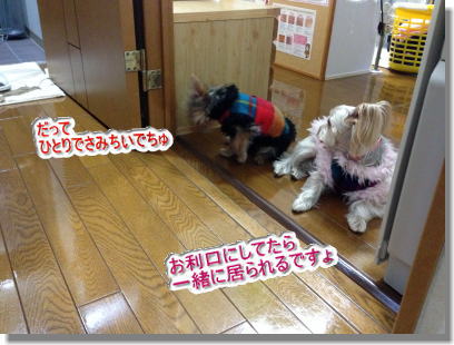 20131210010.jpg