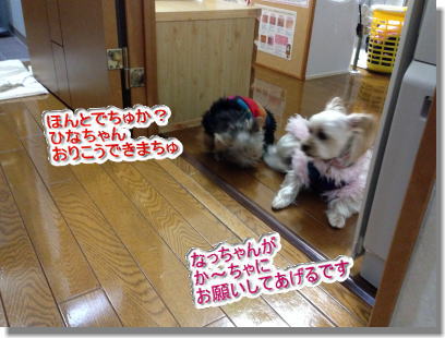 20131210011.jpg