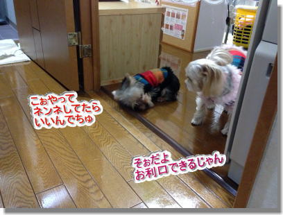 20131210012.jpg