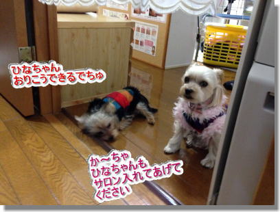 20131210013.jpg