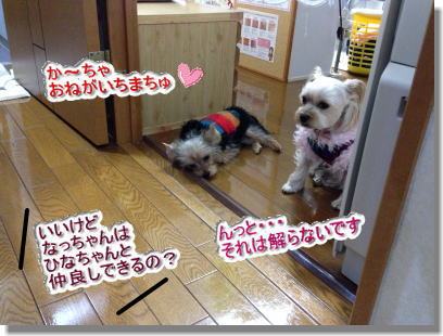 20131210014.jpg