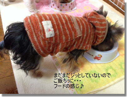 20131211006.jpg