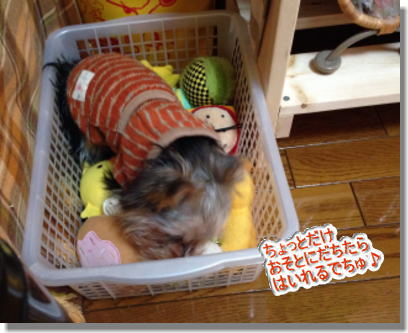 20131211007.jpg