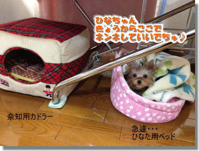20131212001.jpg