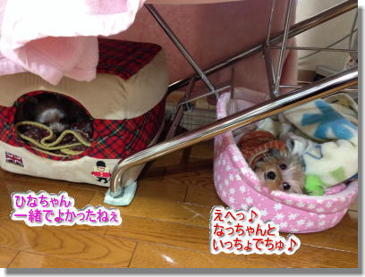 20131212002.jpg