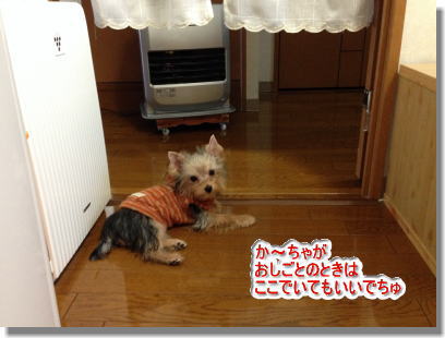 20131212003.jpg