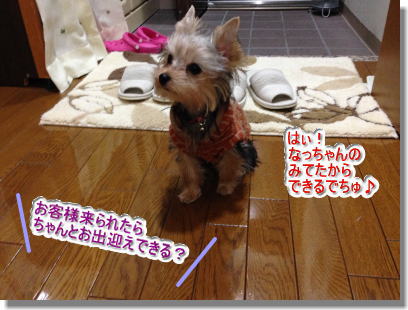 20131212004.jpg