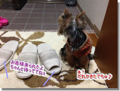 20131212005.jpg