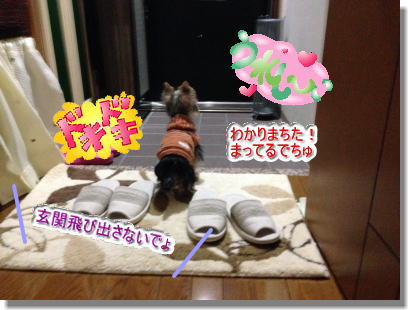 20131212006.jpg