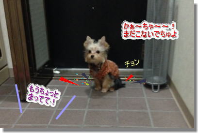 20131212008.jpg