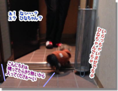 20131212009.jpg